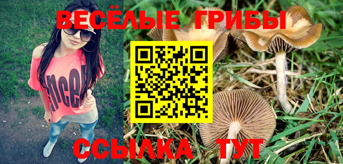 Сибай  как найти закладки  Галлюциногенные грибы MAGIC MUSHROOMS  Вход с VPN  Псилоцибиновые грибы Magic Shrooms 