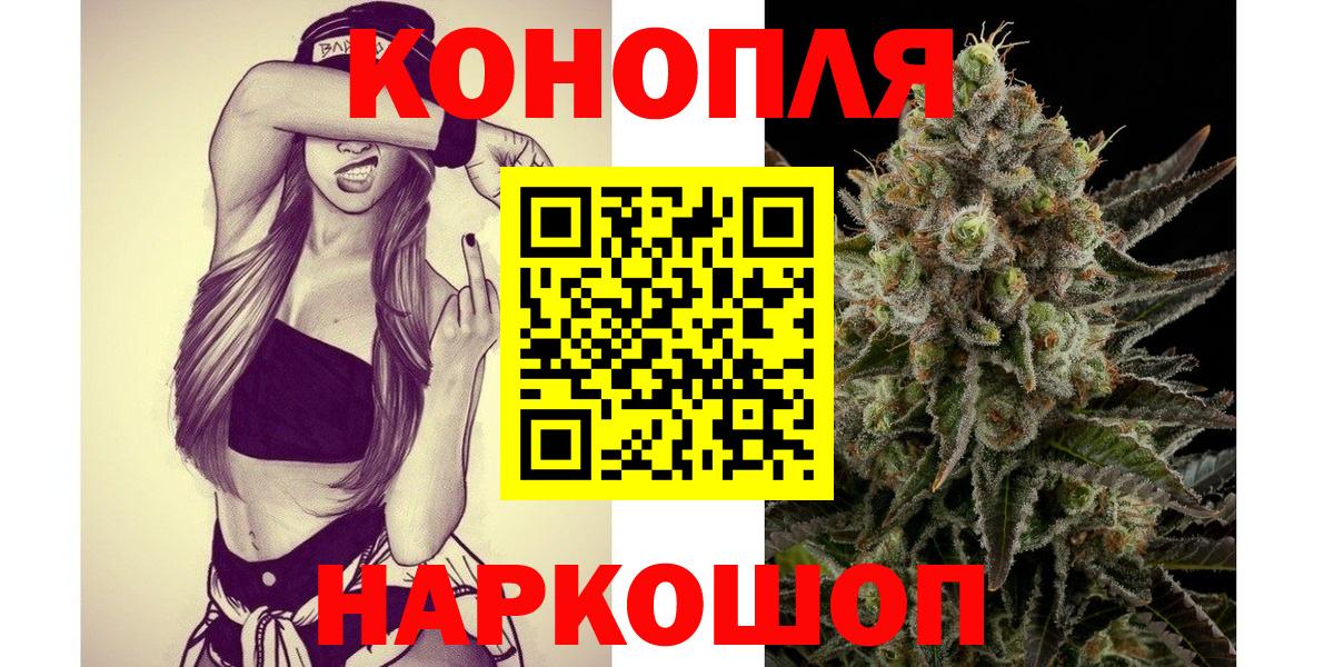 Бошки Шишки планчик Сибай